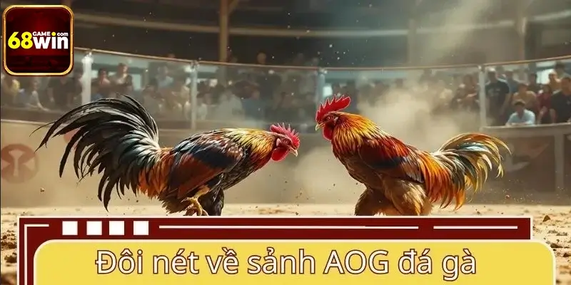 Đôi nét về sảnh AOG đá gà trực tuyến Đôi nét về sảnh AOG đá gà trực tuyến