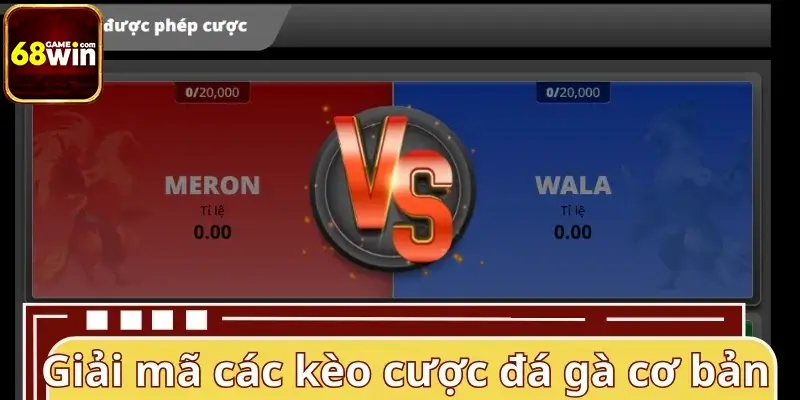 Giải mã các kèo cược đá gà cơ bản người mới cần biết Giải mã các kèo cược đá gà cơ bản người mới cần biết