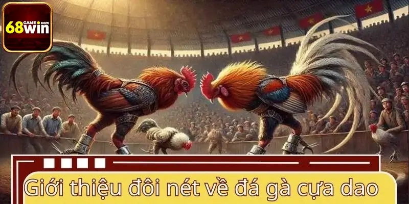 Giới thiệu đôi nét về đá gà cựa dao 68WIN Giới thiệu đôi nét về đá gà cựa dao 68WIN