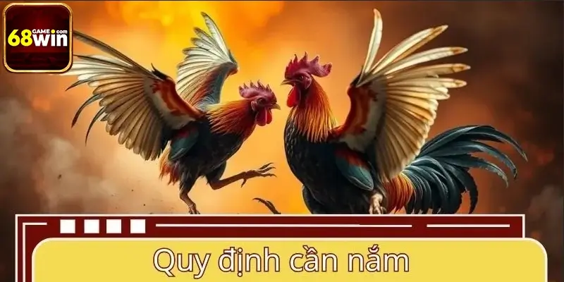 Quy định cần nắm khi tham gia đá gà cựa dao 68WIN Quy định cần nắm khi tham gia đá gà cựa dao 68WIN