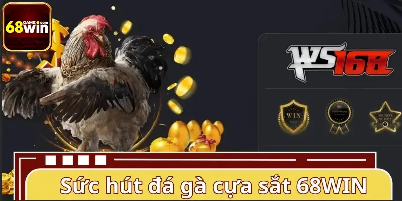 Sức hút mãnh liệt của đá gà cựa sắt 68WIN Sức hút mãnh liệt của đá gà cựa sắt 68WIN