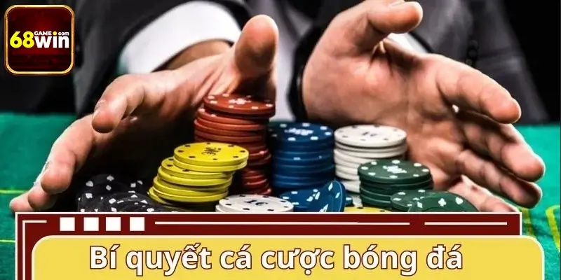 Tổng hợp bí quyết cá cược bóng đá hiệu quả Tổng hợp bí quyết cá cược bóng đá hiệu quả