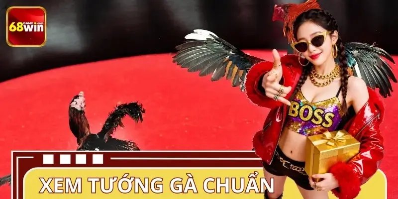 Xem Tướng Gà Chuẩn - Bí Quyết Từ Cao Thủ Tại 68WIN Năm 2026